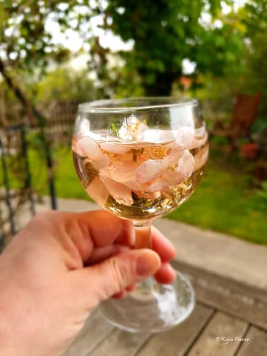 Ett glas rosevin med äppleblommor i glaset