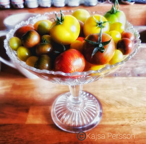 Tomater i en glasskål